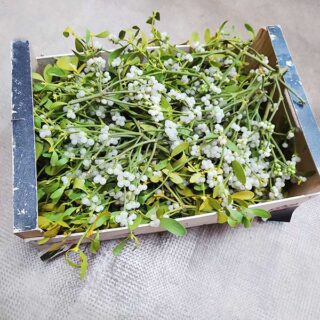 Caixa de vesc a granel