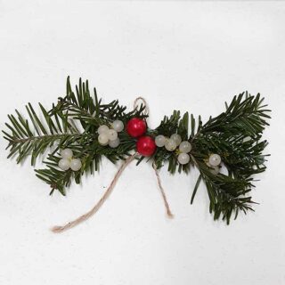 Ram de vesc per penjar