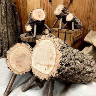 Kit Tió Josep Maria 10 X 30 après